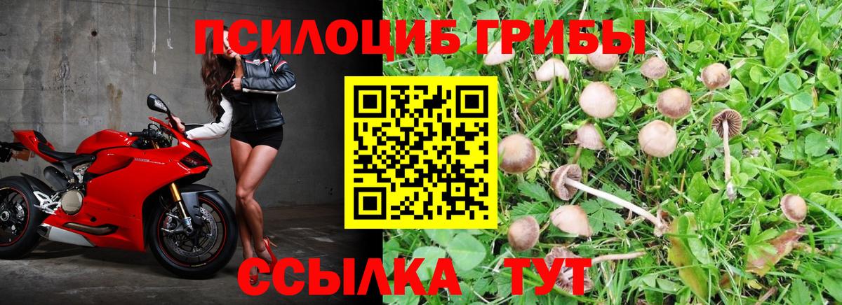 Галлюциногенные грибы Magic Shrooms Нефтеюганск