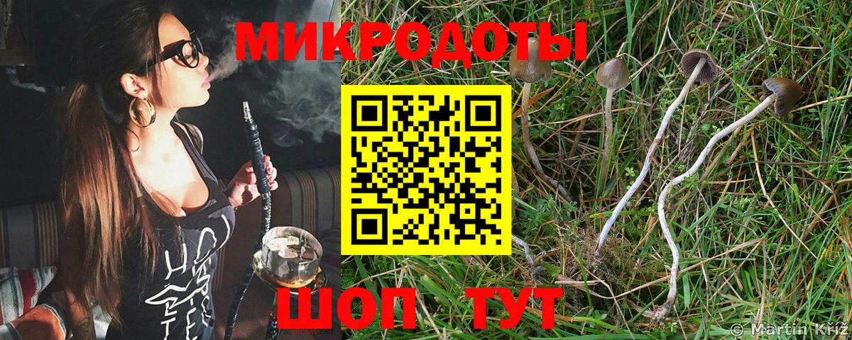 Псилоцибиновые грибы ЛСД  Вход с VPN  Нефтеюганск  сколько стоит  Псилоцибиновые грибы прущие грибы 